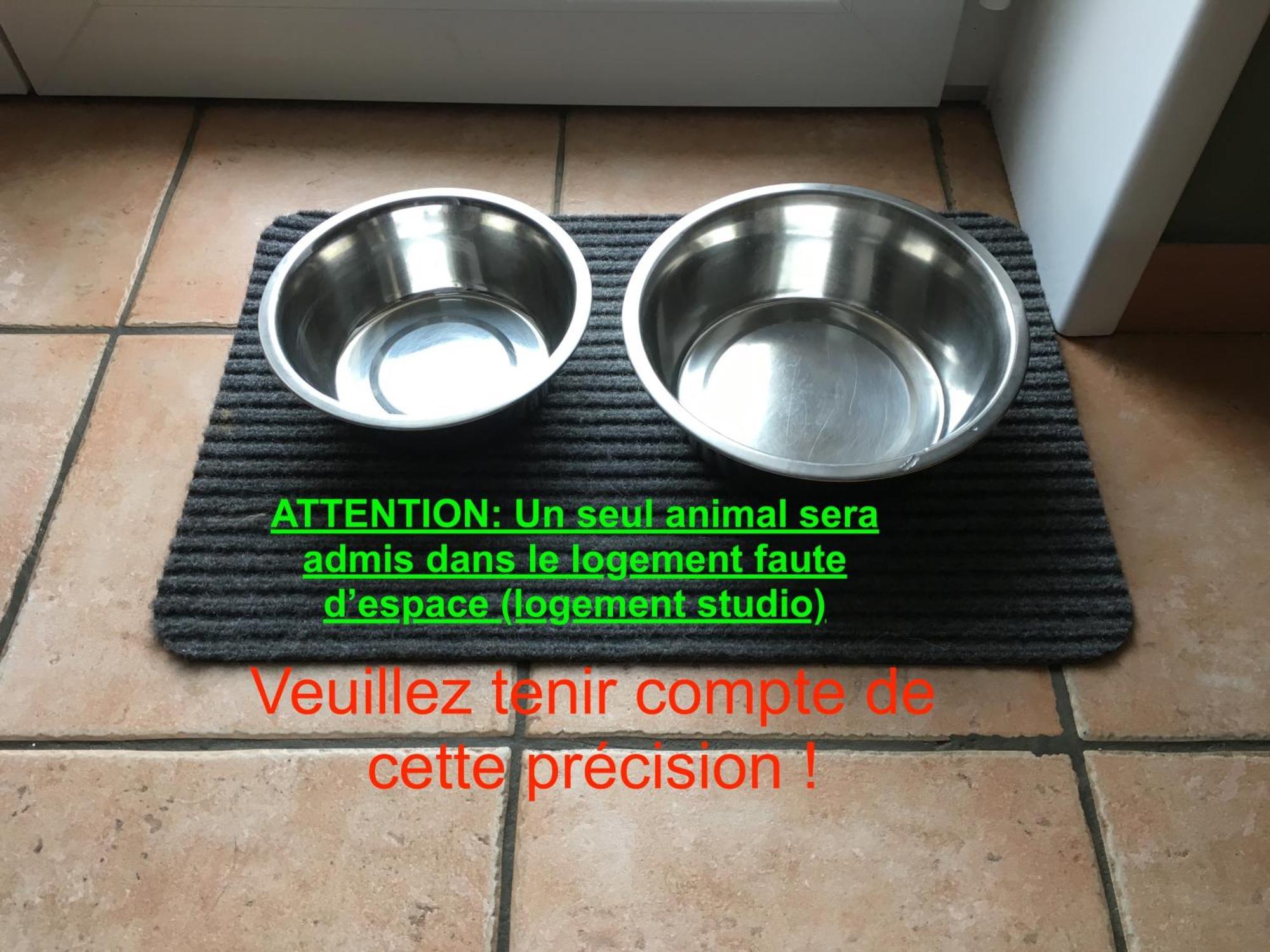 Studio "Cote Mer" La Naturelle - Wimereux Exterior foto